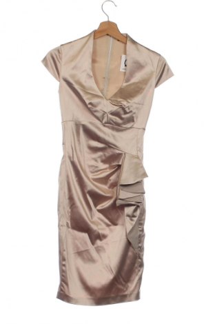 Kleid Pinko, Größe XS, Farbe Beige, Preis € 93,99