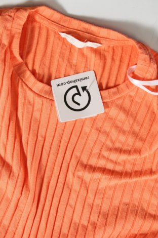 Kleid Primark, Größe L, Farbe Orange, Preis 10,49 €