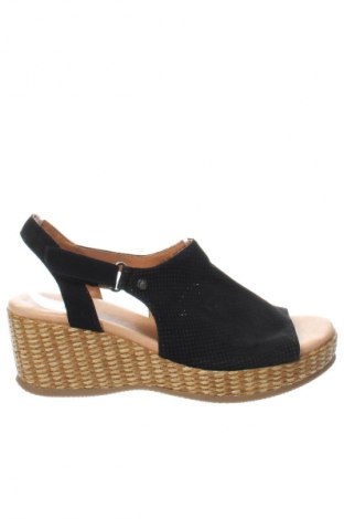 Σανδάλια Hush Puppies, Μέγεθος 42, Χρώμα Μαύρο, Τιμή 18,99 €