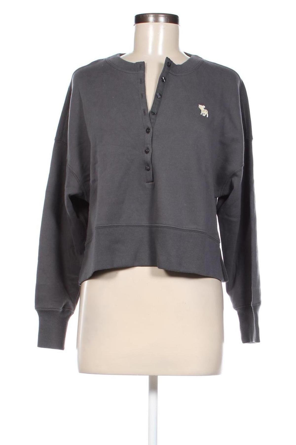 Damen Shirt Abercrombie & Fitch, Größe S, Farbe Grau, Preis € 55,99