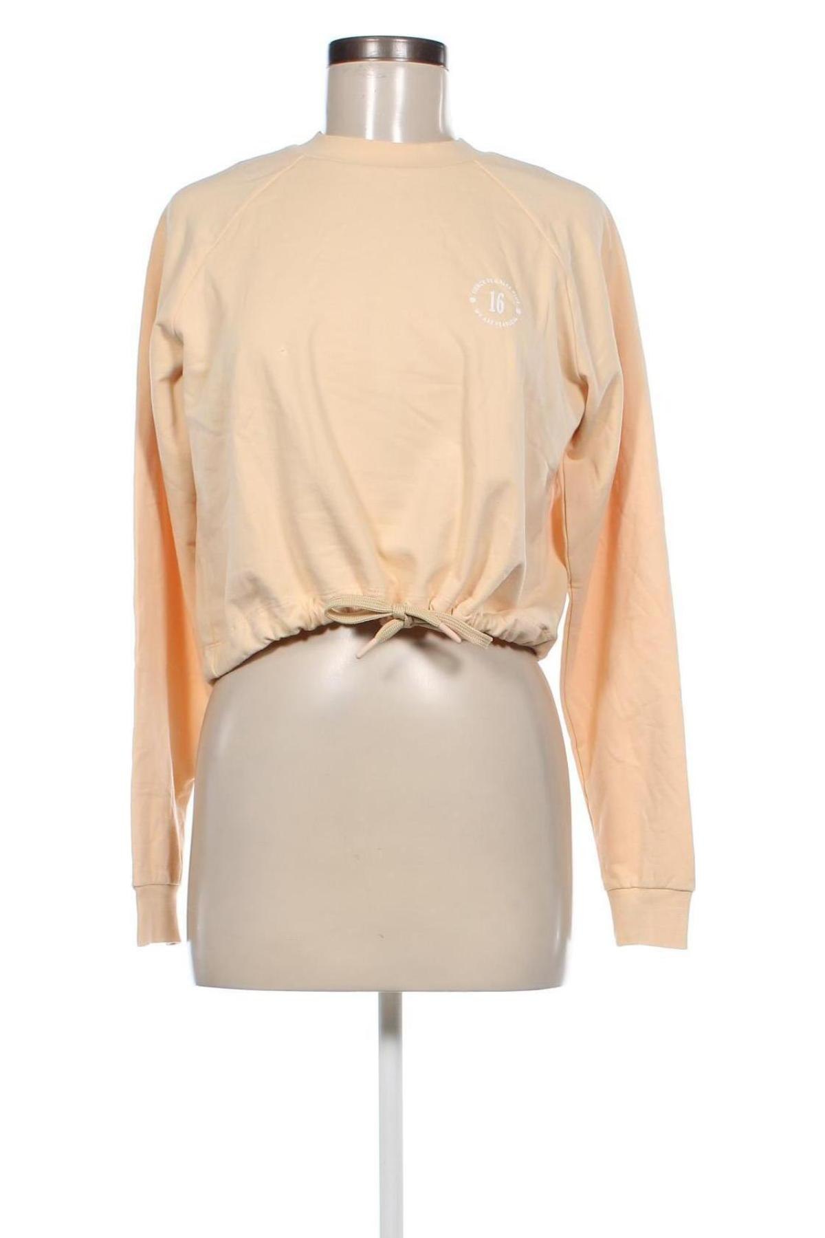 Damen Shirt About You, Größe XS, Farbe Beige, Preis € 5,49