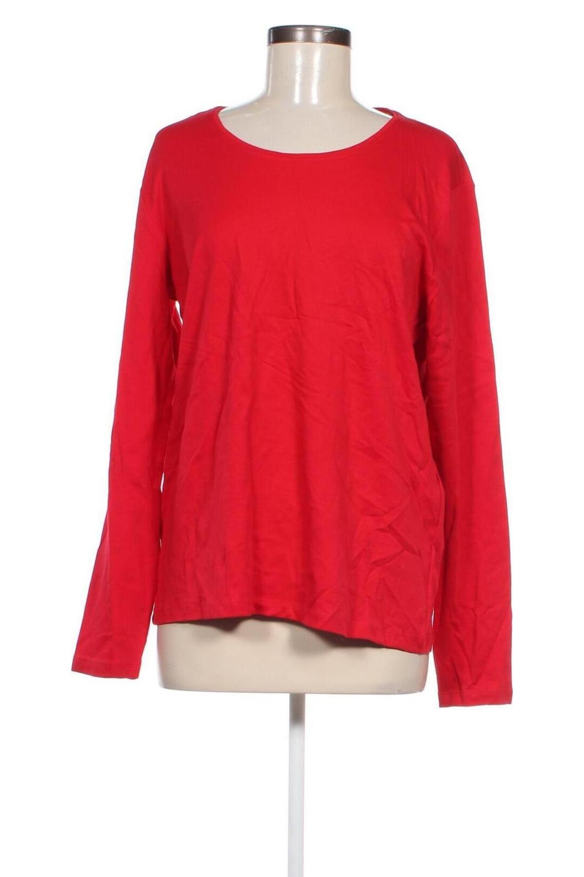 Damen Shirt Cecil, Größe L, Farbe Rot, Preis 3,99 €