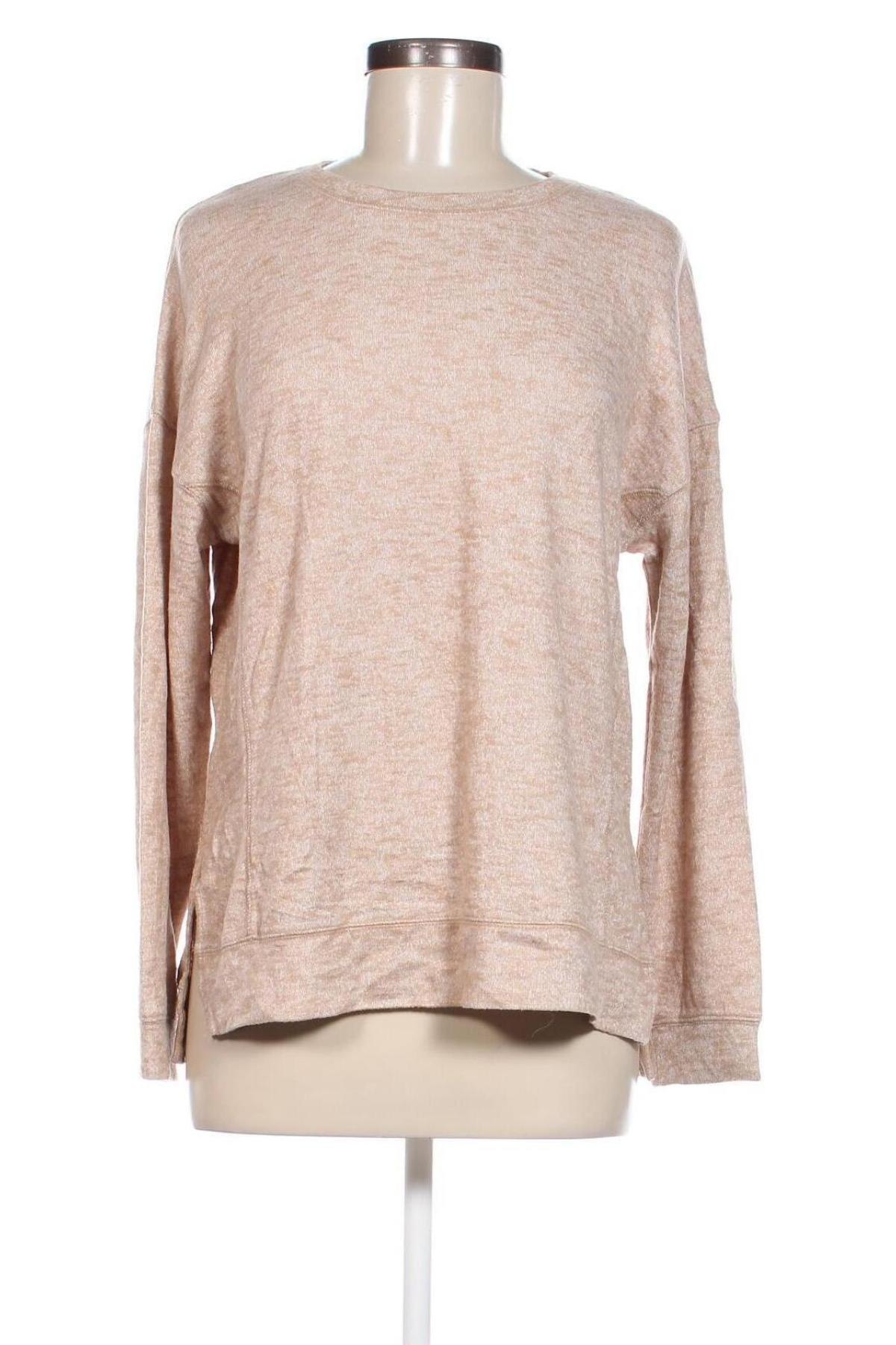 Damen Shirt Seed, Größe XS, Farbe Beige, Preis 5,49 €