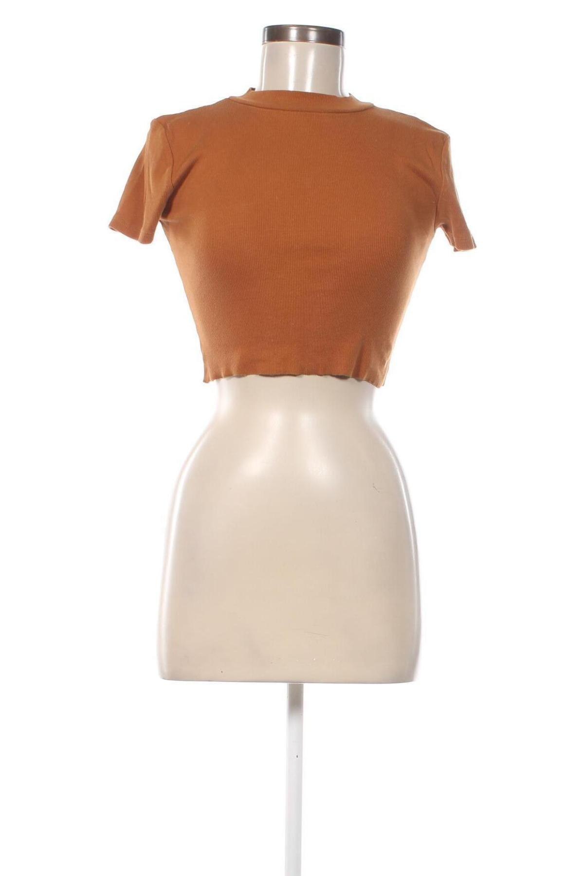 Damen Shirt Sinsay, Größe S, Farbe Braun, Preis € 4,99