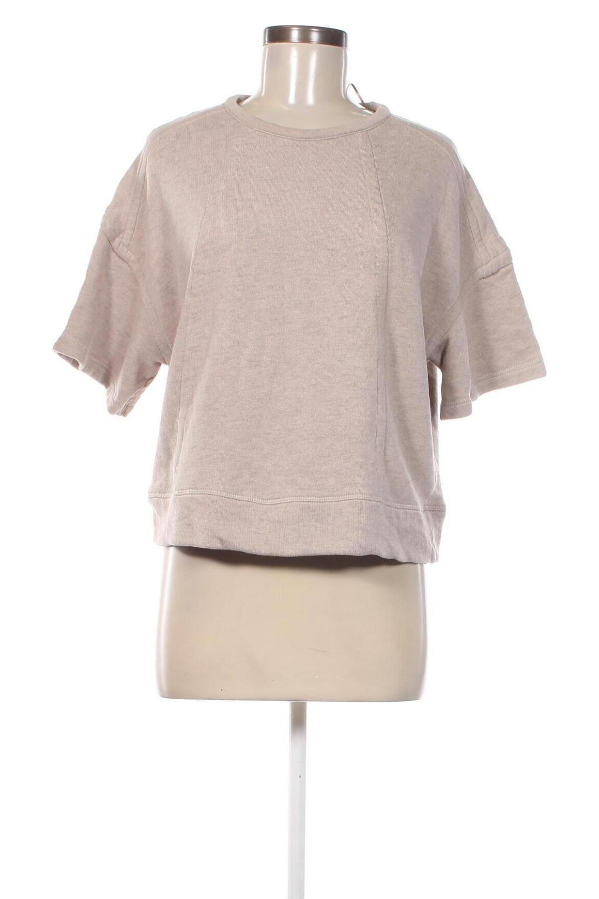 Damen Shirt Zara, Größe S, Farbe Beige, Preis € 7,70