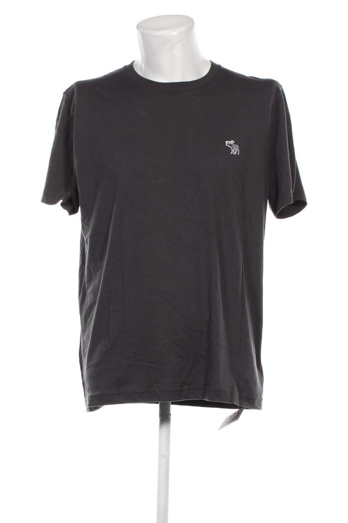 Ανδρικό t-shirt Abercrombie & Fitch, Μέγεθος XL, Χρώμα Γκρί, Τιμή 21,99 €