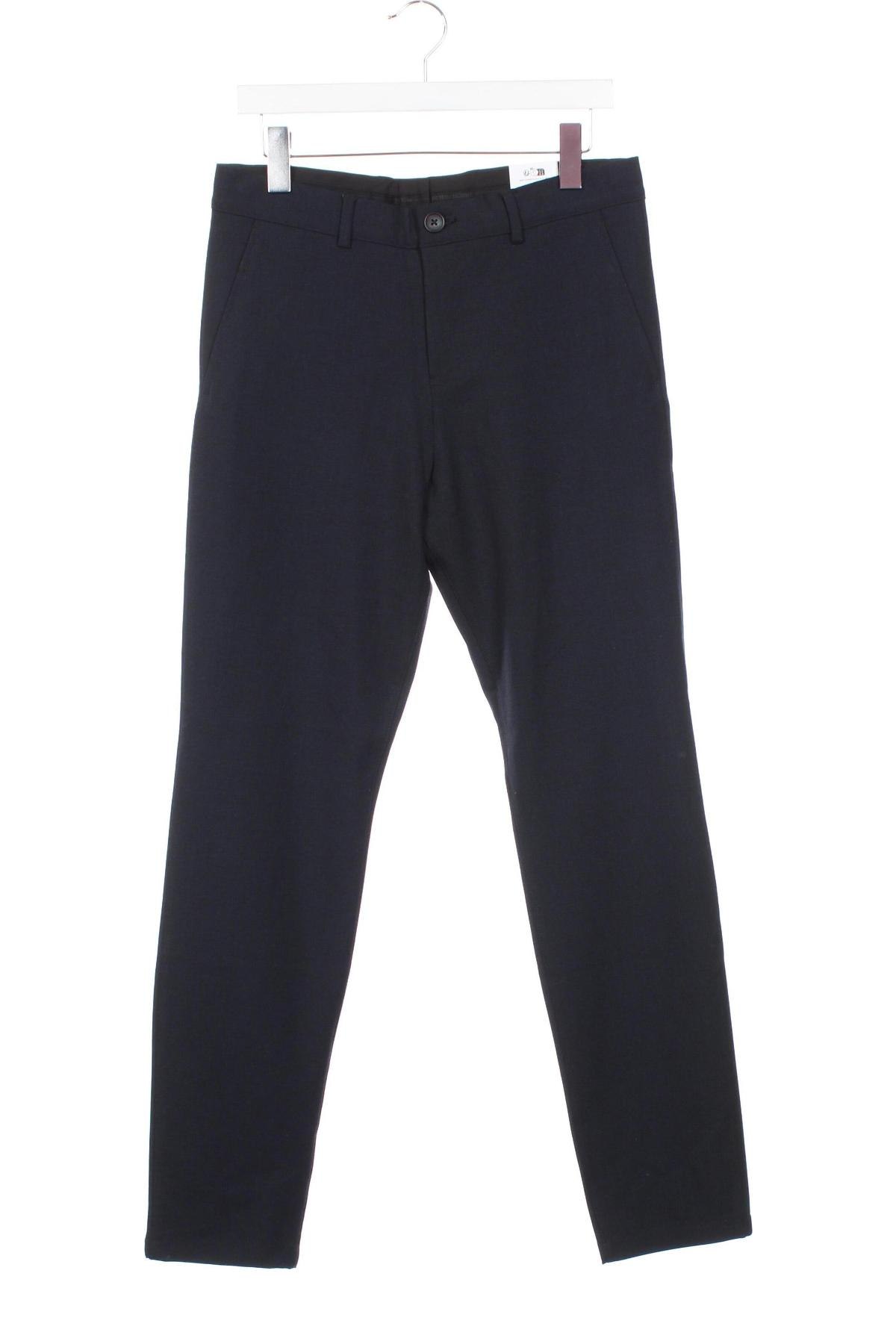 Herrenhose Selected Homme, Größe S, Farbe Blau, Preis 16,99 €