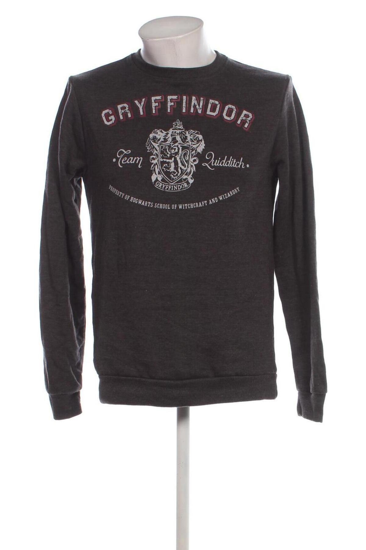 Herrenpullover Harry Potter, Größe S, Farbe Braun, Preis 9,99 €