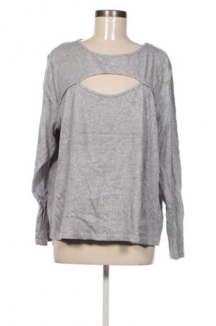 Damen Shirt Anko, Größe XXL, Farbe Grau, Preis € 13,99