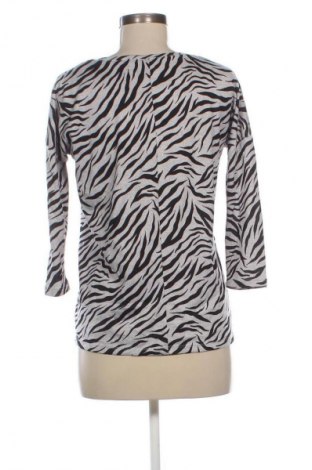 Damen Shirt B Collection, Größe S, Farbe Mehrfarbig, Preis 13,99 €