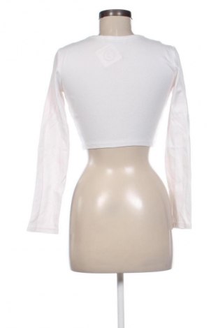 Damen Shirt Bershka, Größe S, Farbe Mehrfarbig, Preis 15,29 €