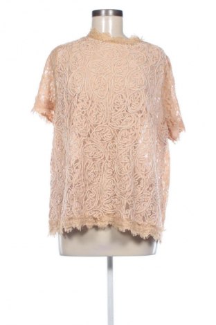 Damen Shirt Capsule, Größe XXL, Farbe Braun, Preis 9,79 €
