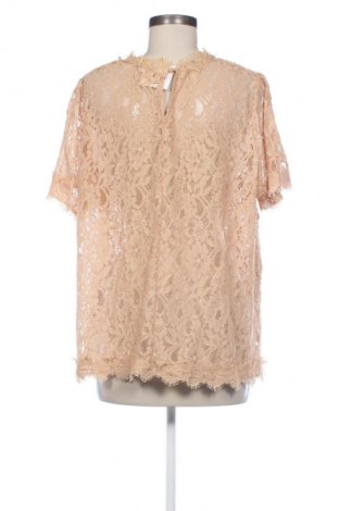 Damen Shirt Capsule, Größe XXL, Farbe Braun, Preis 9,79 €