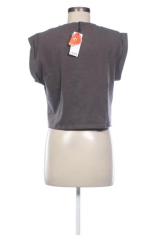 Damen Shirt Cider, Größe M, Farbe Grau, Preis 13,61 €