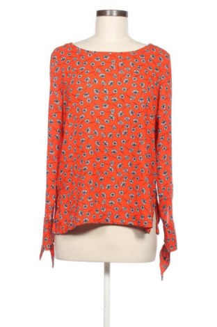Damen Shirt Colloseum, Größe M, Farbe Mehrfarbig, Preis 13,99 €