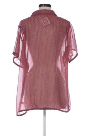 Dámska blúza Gina Benotti, Veľkosť XXL, Farba Viacfarebná, Cena  15,95 €