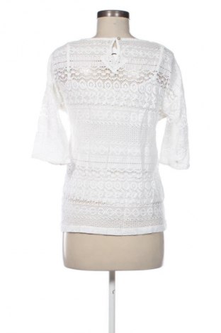 Damen Shirt Jake*s, Größe S, Farbe Mehrfarbig, Preis 17,00 €