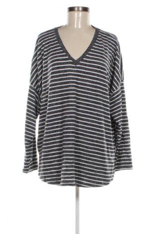 Damen Shirt Katies, Größe XXL, Farbe Mehrfarbig, Preis 13,99 €