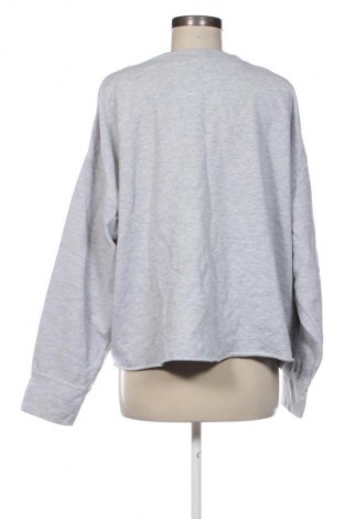 Damen Shirt Looney Tunes, Größe L, Farbe Grau, Preis 19,95 €