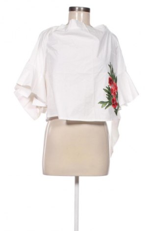 Damen Shirt Paccio, Größe L, Farbe Mehrfarbig, Preis 15,81 €