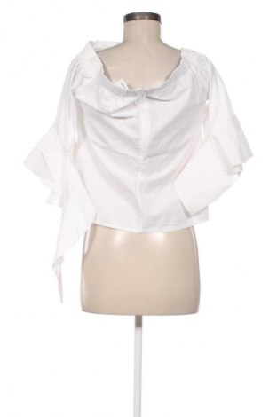 Damen Shirt Paccio, Größe L, Farbe Mehrfarbig, Preis 15,81 €