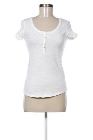 Damen Shirt Terranova, Größe M, Farbe Ecru, Preis 9,72 €