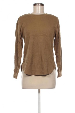Damen Shirt Uniqlo, Größe M, Farbe Braun, Preis 23,99 €