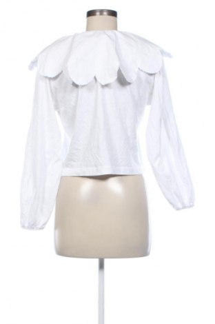 Damen Shirt Zara, Größe M, Farbe Weiß, Preis 13,81 €