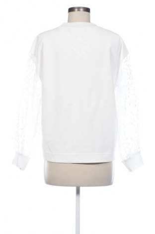 Damen Shirt Zara, Größe S, Farbe Weiß, Preis 13,80 €