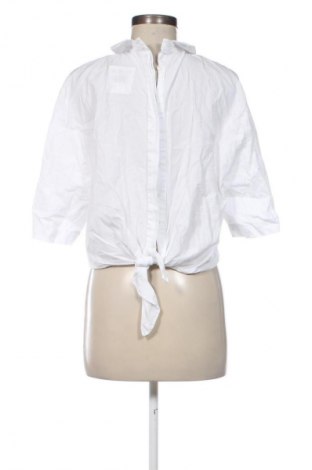 Damen Shirt Zara, Größe M, Farbe Weiß, Preis 10,30 €