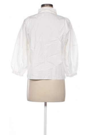 Damen Shirt Zara, Größe M, Farbe Ecru, Preis € 15,55