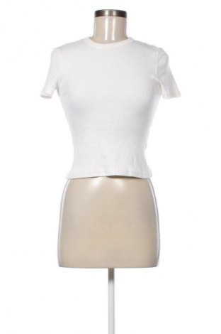Damen Shirt Zara Home, Größe M, Farbe Ecru, Preis 10,23 €