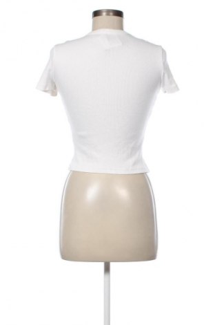 Damen Shirt Zara Home, Größe M, Farbe Ecru, Preis 10,23 €