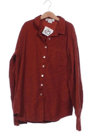 Damenbluse Bellamy, Größe XS, Farbe Braun, Preis 37,99 €