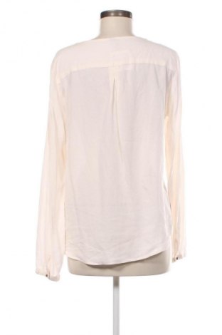 Damenbluse Colours, Größe L, Farbe Ecru, Preis 12,79 €