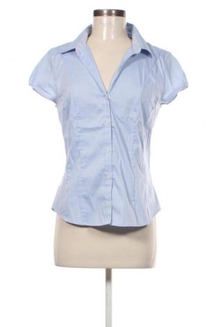 Damenbluse H&M, Größe L, Farbe Mehrfarbig, Preis 13,00 €