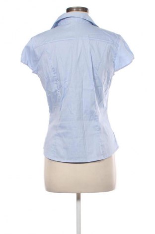Damenbluse H&M, Größe L, Farbe Mehrfarbig, Preis 13,00 €