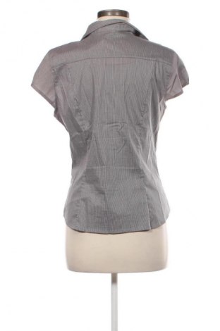 Damenbluse H&M, Größe L, Farbe Mehrfarbig, Preis € 13,00