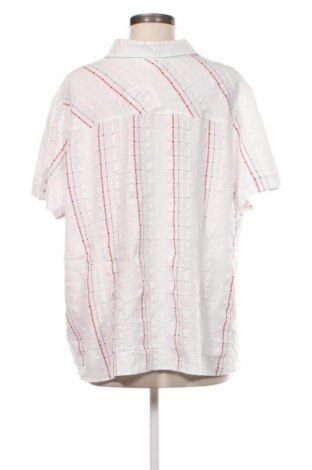 Damenbluse Kingfield, Größe 3XL, Farbe Mehrfarbig, Preis 12,83 €
