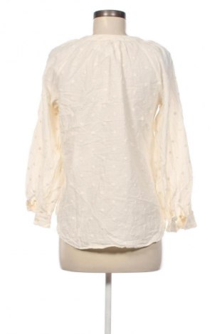 Damenbluse Mango, Größe M, Farbe Mehrfarbig, Preis 18,99 €