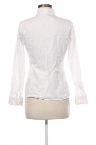 Damenbluse Marco Pecci, Größe S, Farbe Weiß, Preis € 12,83