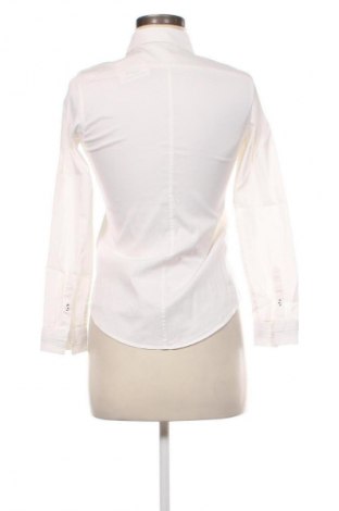 Damenbluse Massimo Dutti, Größe S, Farbe Weiß, Preis 28,18 €