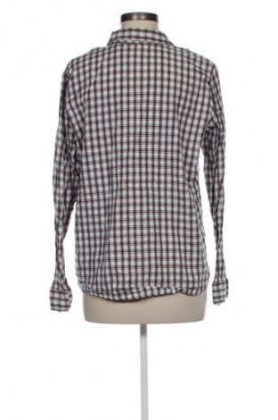 Damenbluse Northern Reflections, Größe XL, Farbe Mehrfarbig, Preis € 17,99