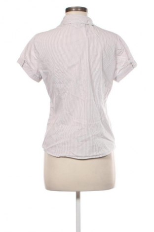 Damenbluse Reitmans, Größe M, Farbe Mehrfarbig, Preis 12,79 €