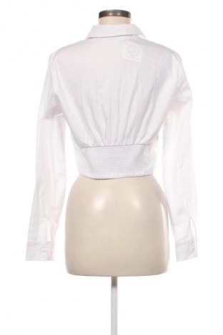 Damenbluse Sinsay, Größe L, Farbe Weiß, Preis 12,79 €