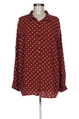 Damenbluse Xlnt, Größe XXL, Farbe Mehrfarbig, Preis € 28,99