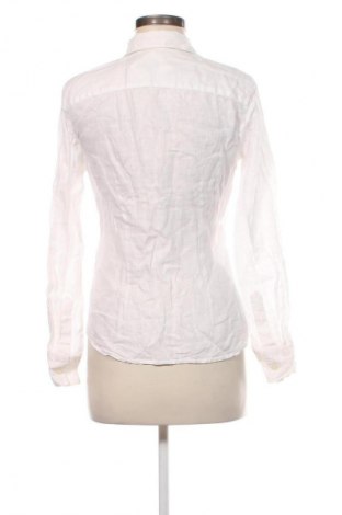 Damenbluse Zara, Größe S, Farbe Ecru, Preis 13,81 €