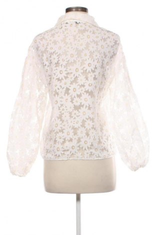 Damenbluse Zara, Größe S, Farbe Ecru, Preis € 15,55