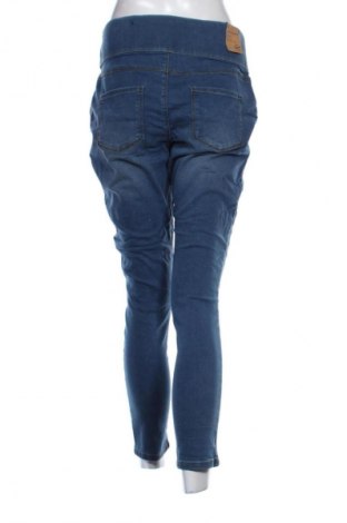 Dámské džíny  The 1964 Denim Company, Velikost L, Barva Modrá, Cena  739,00 Kč