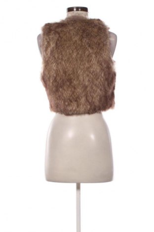 Damenweste Fishbone, Größe S, Farbe Beige, Preis € 19,95